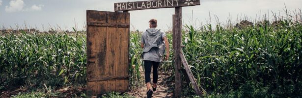 Seikluspakett “Lossi müüridest maisipõllu radadeni”