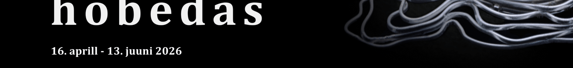 Ehtenäitus “Hingemaastikud hõbedas”